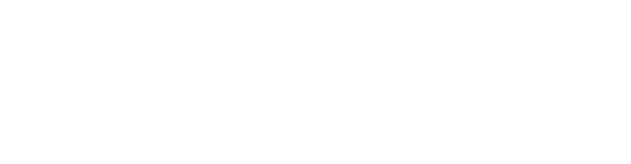 Bison Commerce