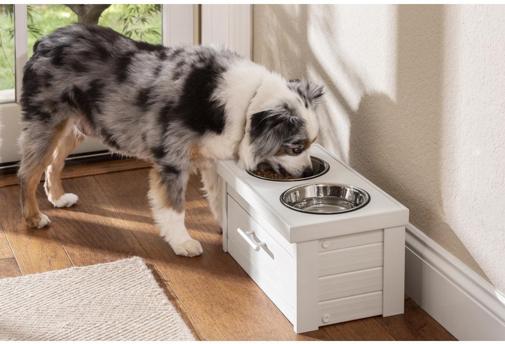 Feeding & storage